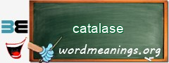 WordMeaning blackboard for catalase